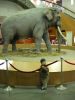 zoo08.jpg