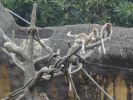 zoo14.jpg
