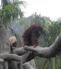 zoo17.jpg