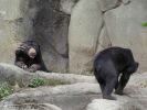 zoo21.jpg