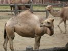 zoo29.jpg