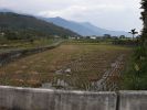 Filename=fy52.jpg
Filesize=248KB
Dimensions=800x600
Date added=Jan 05, 2009 fy52.jpg