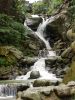 Filename=pishan31.jpg
Filesize=195KB
Dimensions=450x600
Date added=Feb 28, 2005 pishan31.jpg